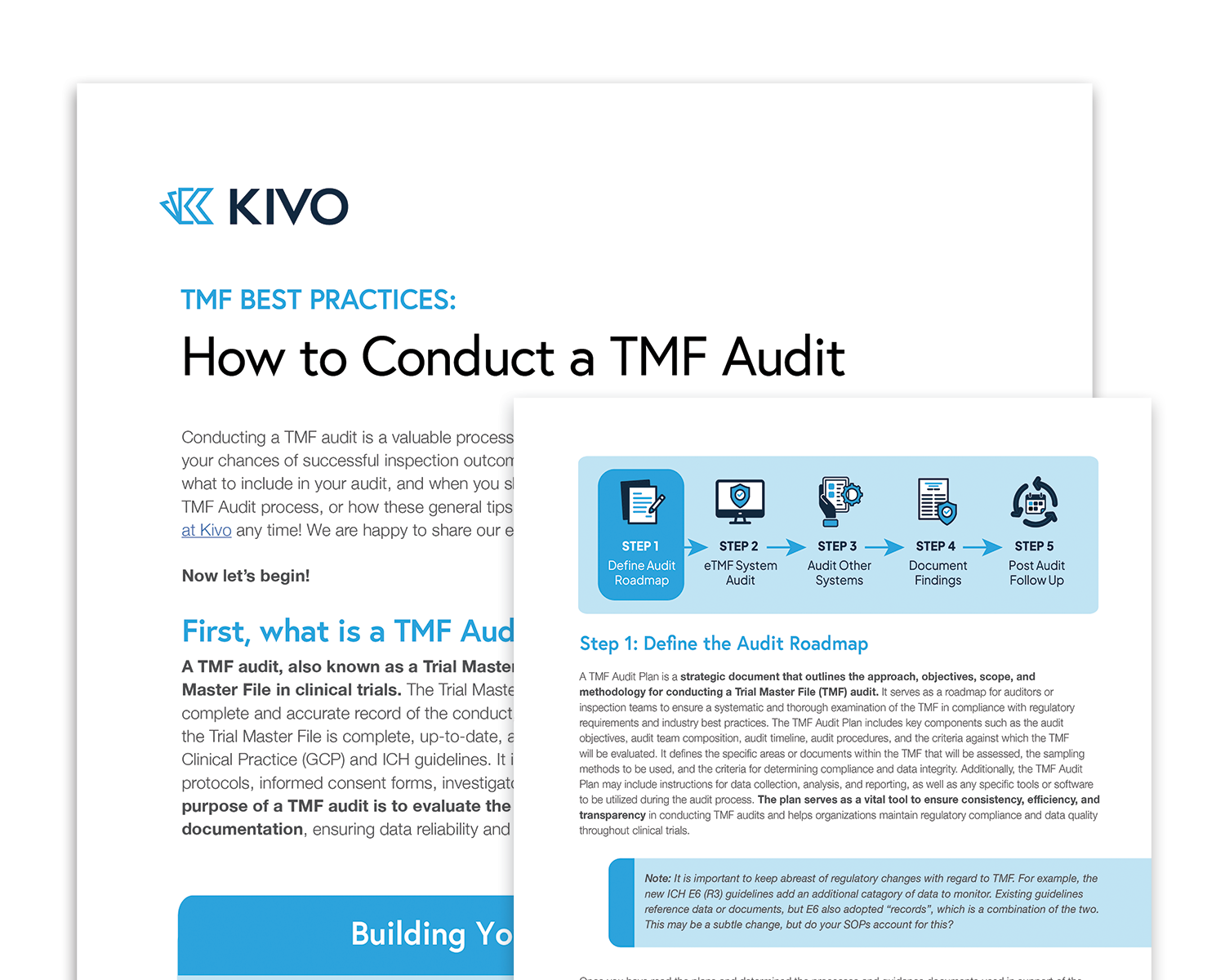 Whitepaper: How to Conduct a TMF Audit